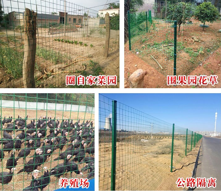 <b>問：散養野雞場綠色鐵絲網能用幾年？</b>