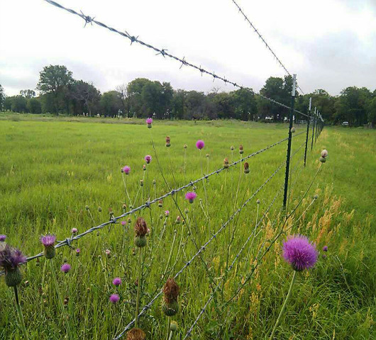 <b>蕪湖場地隔離網欄</b>