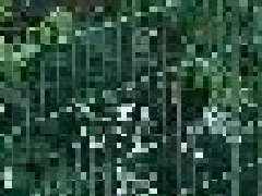 <b>武漢道路護欄?的種類有哪些？</b>